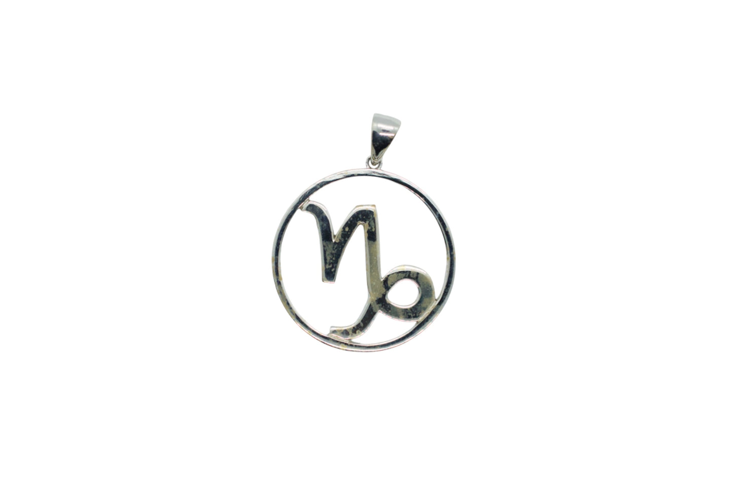 Capricorn Astrology Horoscope Zodiac Silver Necklace