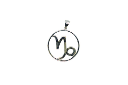 Capricorn Astrology Horoscope Zodiac Silver Necklace