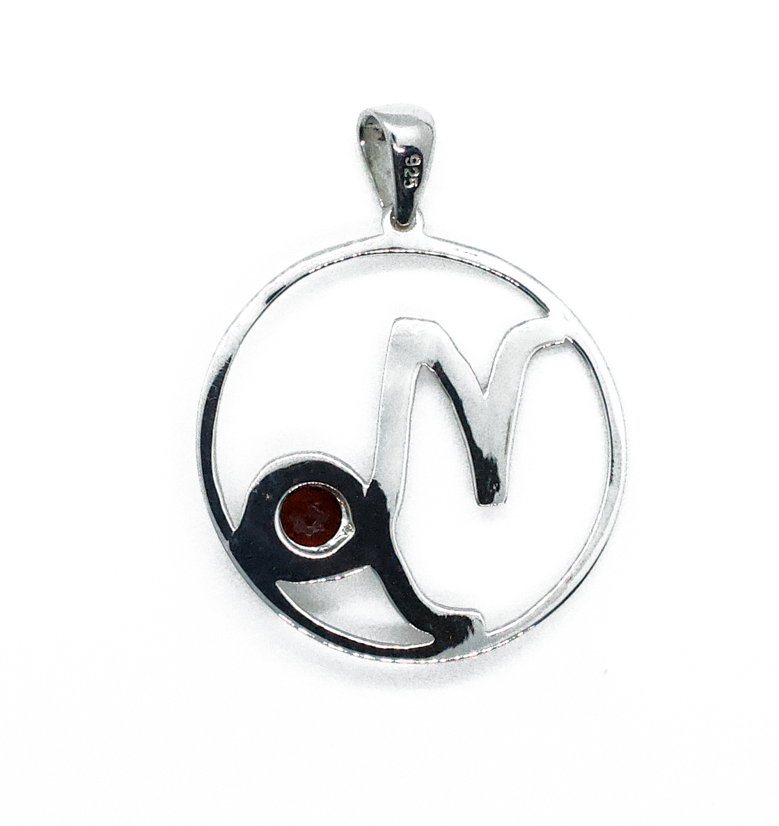 Capricorn Astrology Horoscope Zodiac Silver & Garnet Necklace