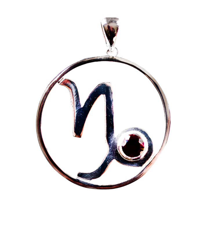 Capricorn Astrology Horoscope Zodiac Silver & Garnet Necklace