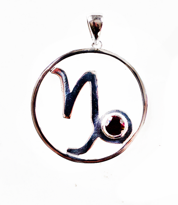 Capricorn Astrology Horoscope Zodiac Silver & Garnet Necklace