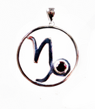 Capricorn Astrology Horoscope Zodiac Silver & Garnet Necklace