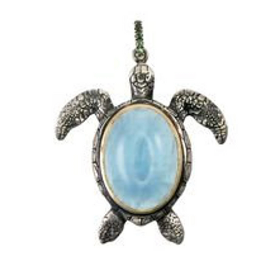 A silver turtle-shaped pendant with a blue aquamarine centerpiece, attached to a silver chain.