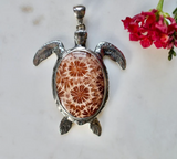 Indonesian Fossilized Star Coral Sterling Silver Turtle Pendant Necklace